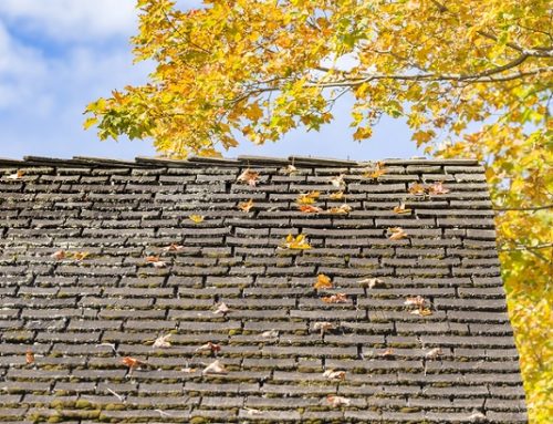 Fall Roofing Schedule – Do An Inspection!