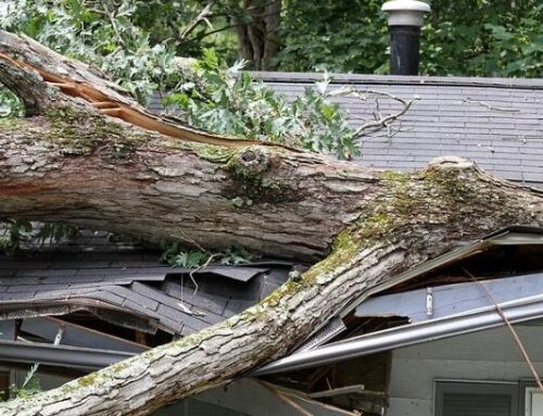 Been Hit By A Storm? You Need Emergency Roofing Services!