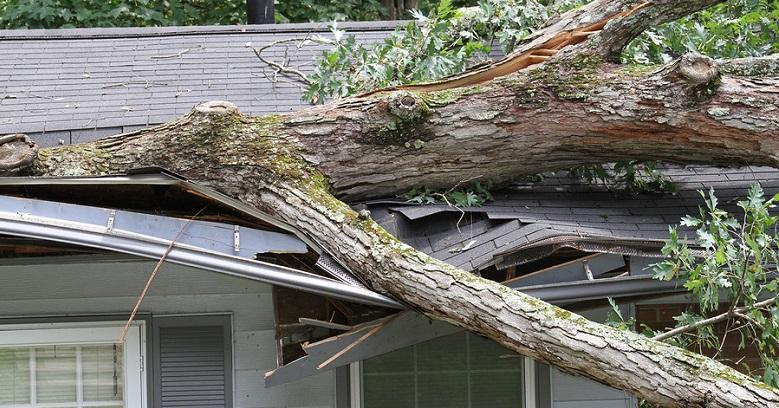 roof repair in college station texas 